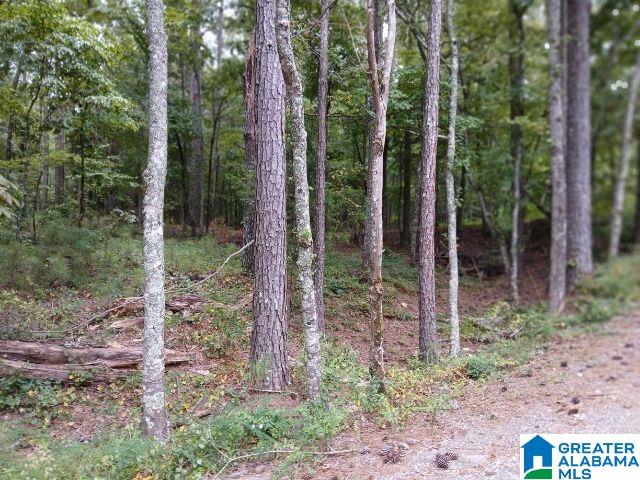 105 Point Aquarius Drive, Unit 22 Alpine, AL 35014 - Photo 5 of 7
