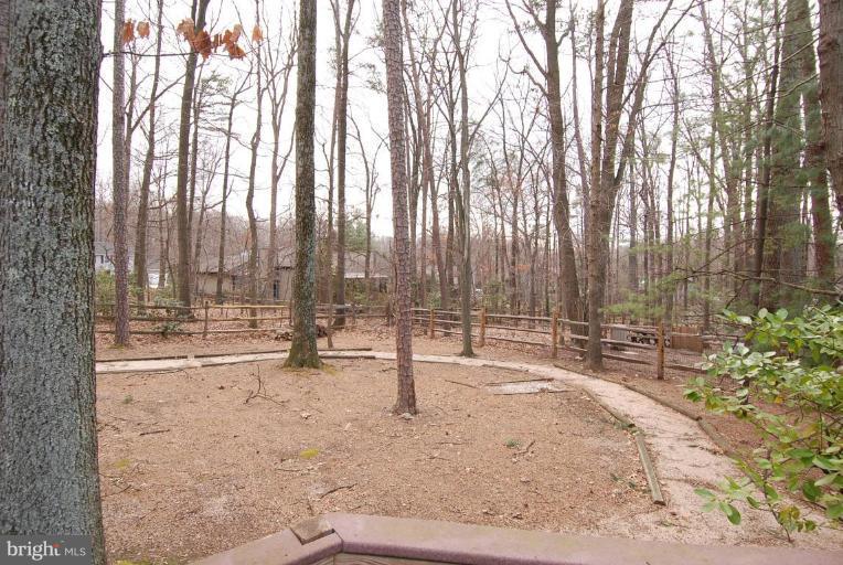 12367 Lima Lane Reston, VA 20191 - Photo 24 of 27 Back yard