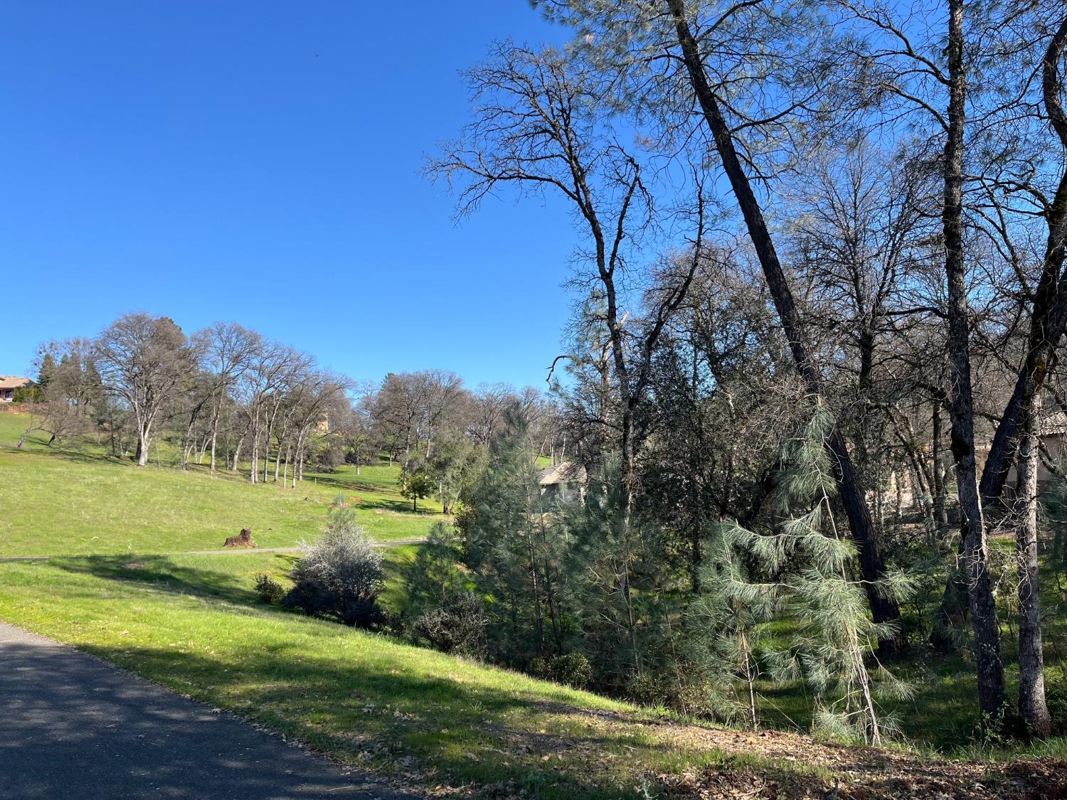 23720 Hogan Road Auburn, CA 95602 - Photo 1 of 1 Gallery Image 1