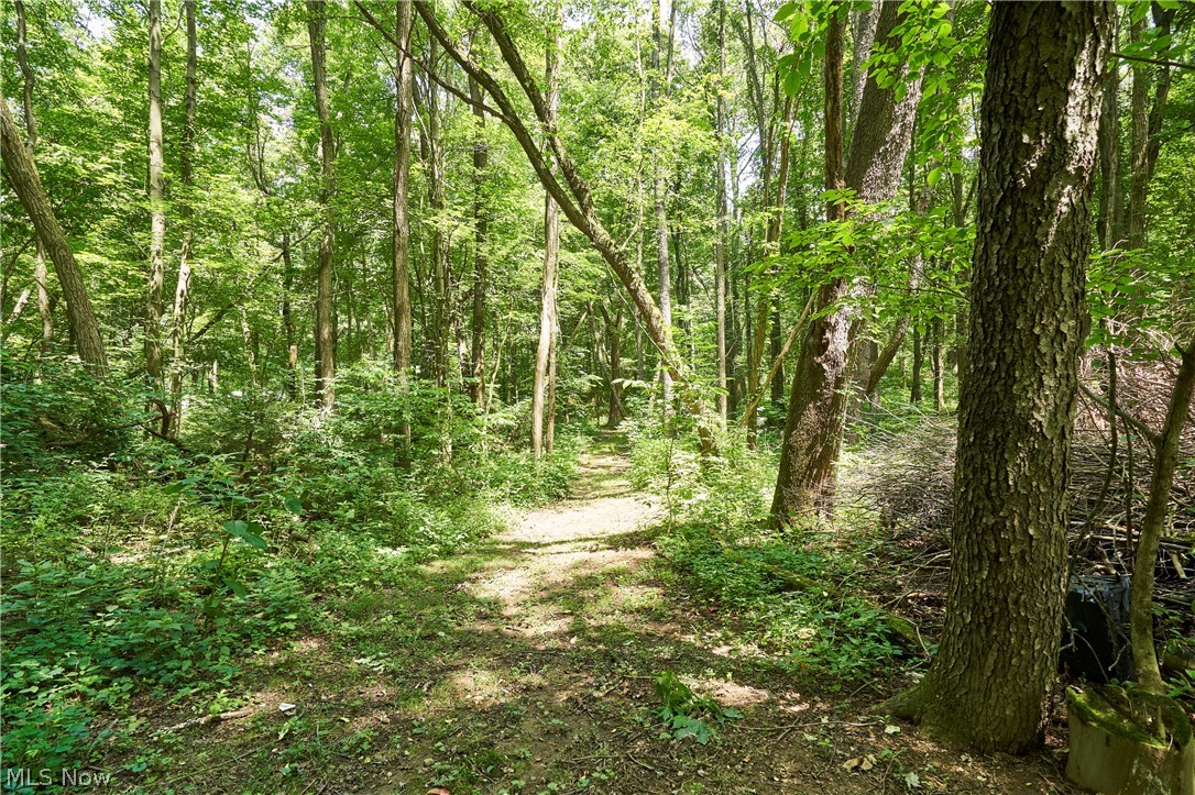 1865 Hartville Road Mogadore, OH 44260 - Photo 27 of 28 trails