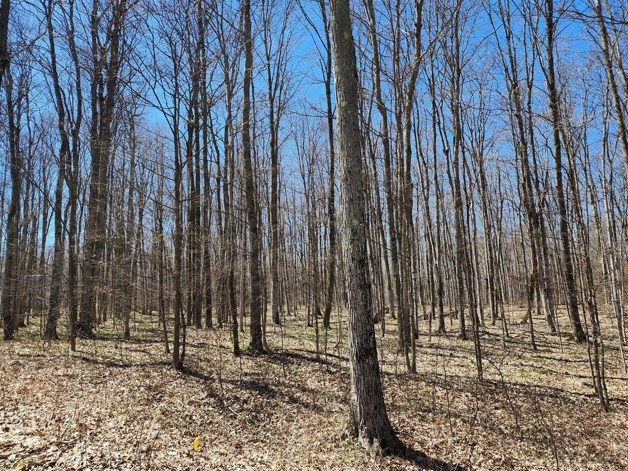 29 Goshawk Ridge Traverse City, MI 49684 - Photo 3 of 21