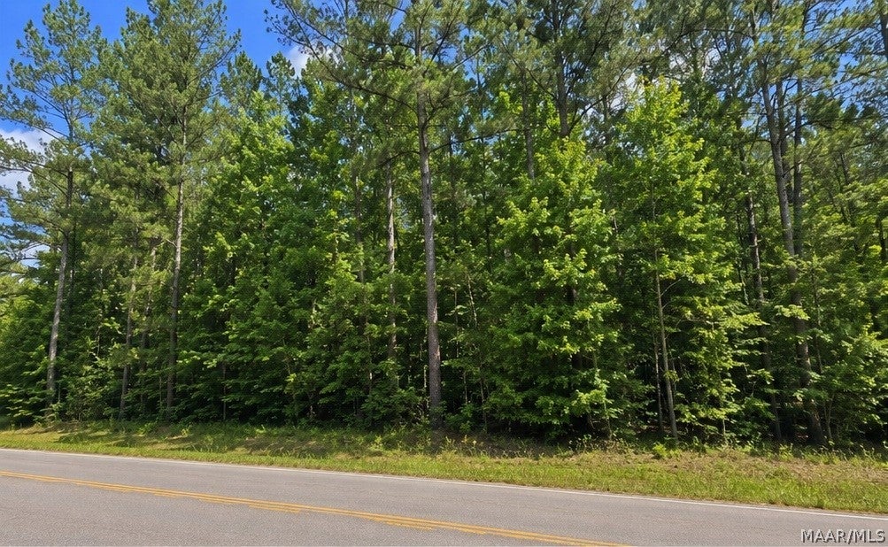 0 Morning Star Road Whatley, AL 36482 - Photo 2 of 9 Gallery Image 2