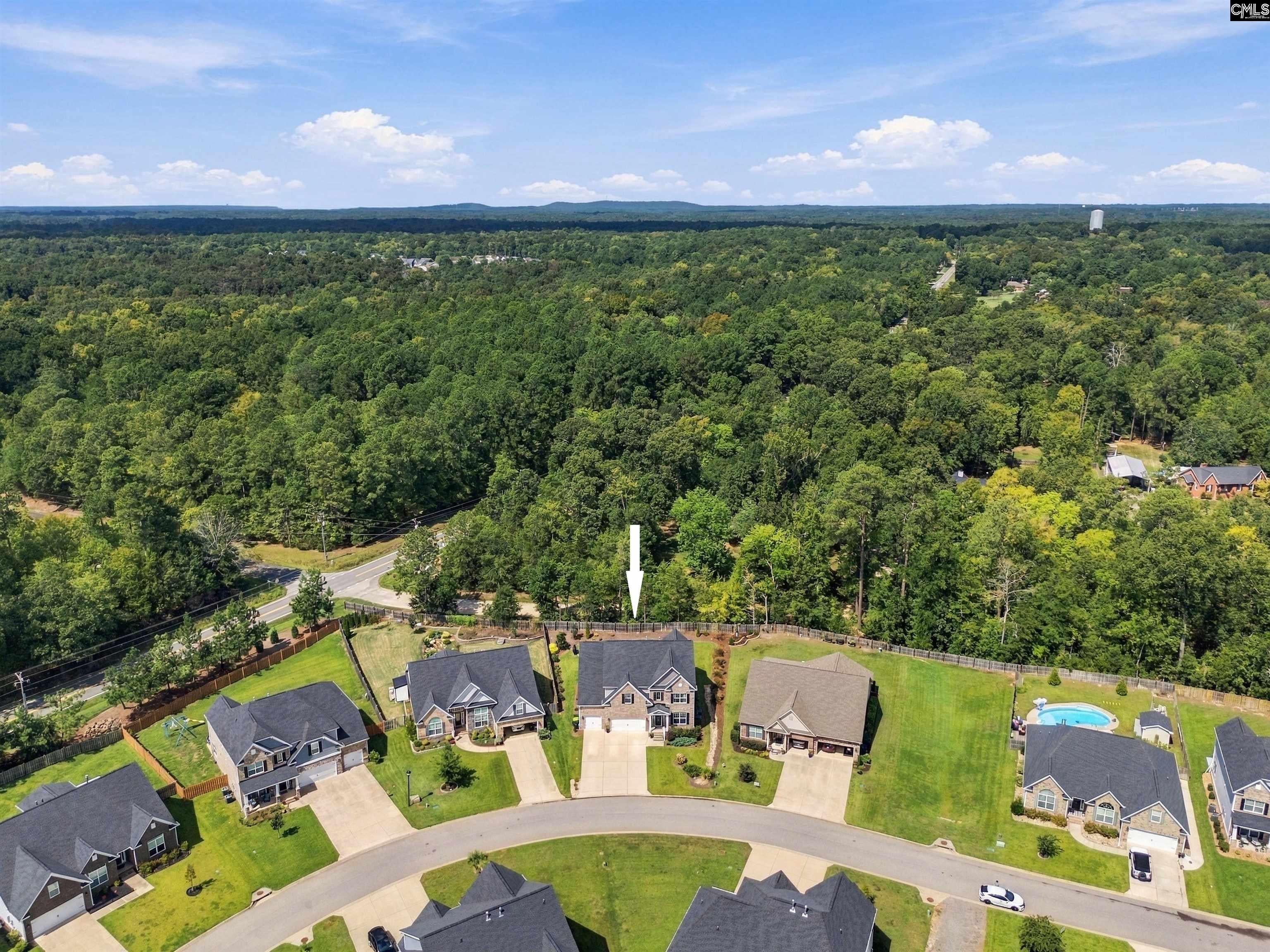 331 Springbrook Way Chapin, SC 29036 - Photo 49 of 53 Gallery Image 49