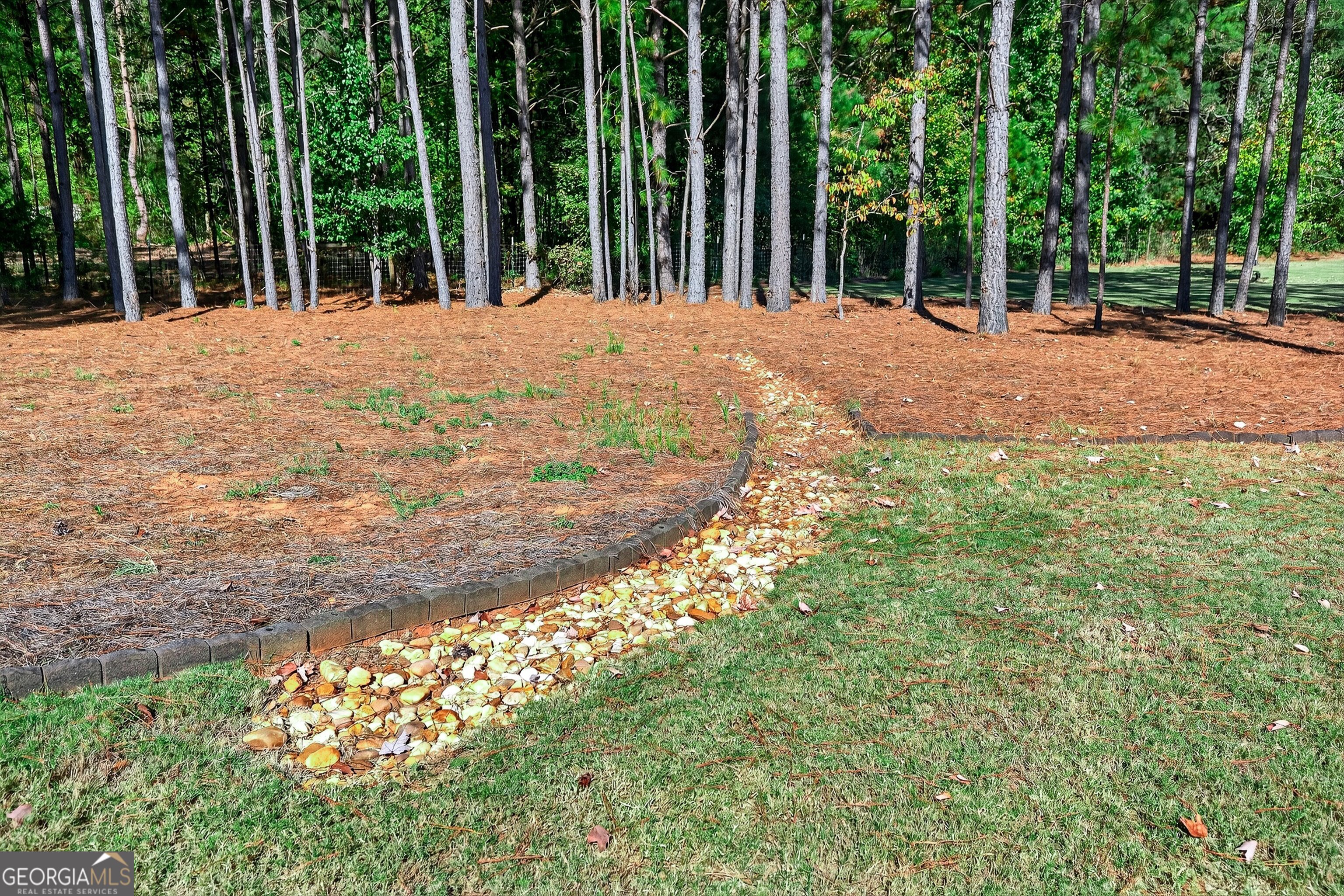 350 Cushing Street Senoia, GA 30276 - Photo 45 of 50