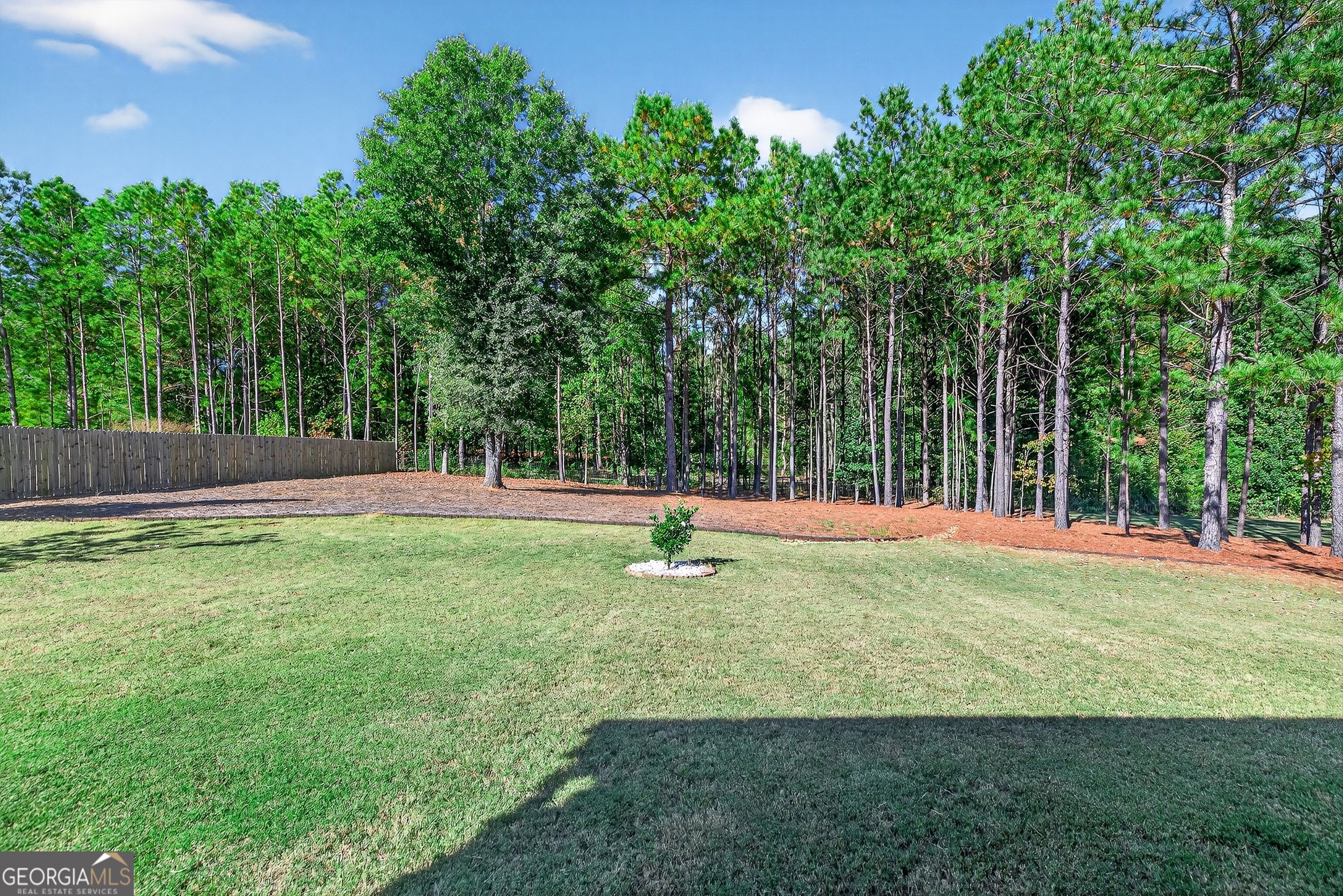 350 Cushing Street Senoia, GA 30276 - Photo 46 of 50