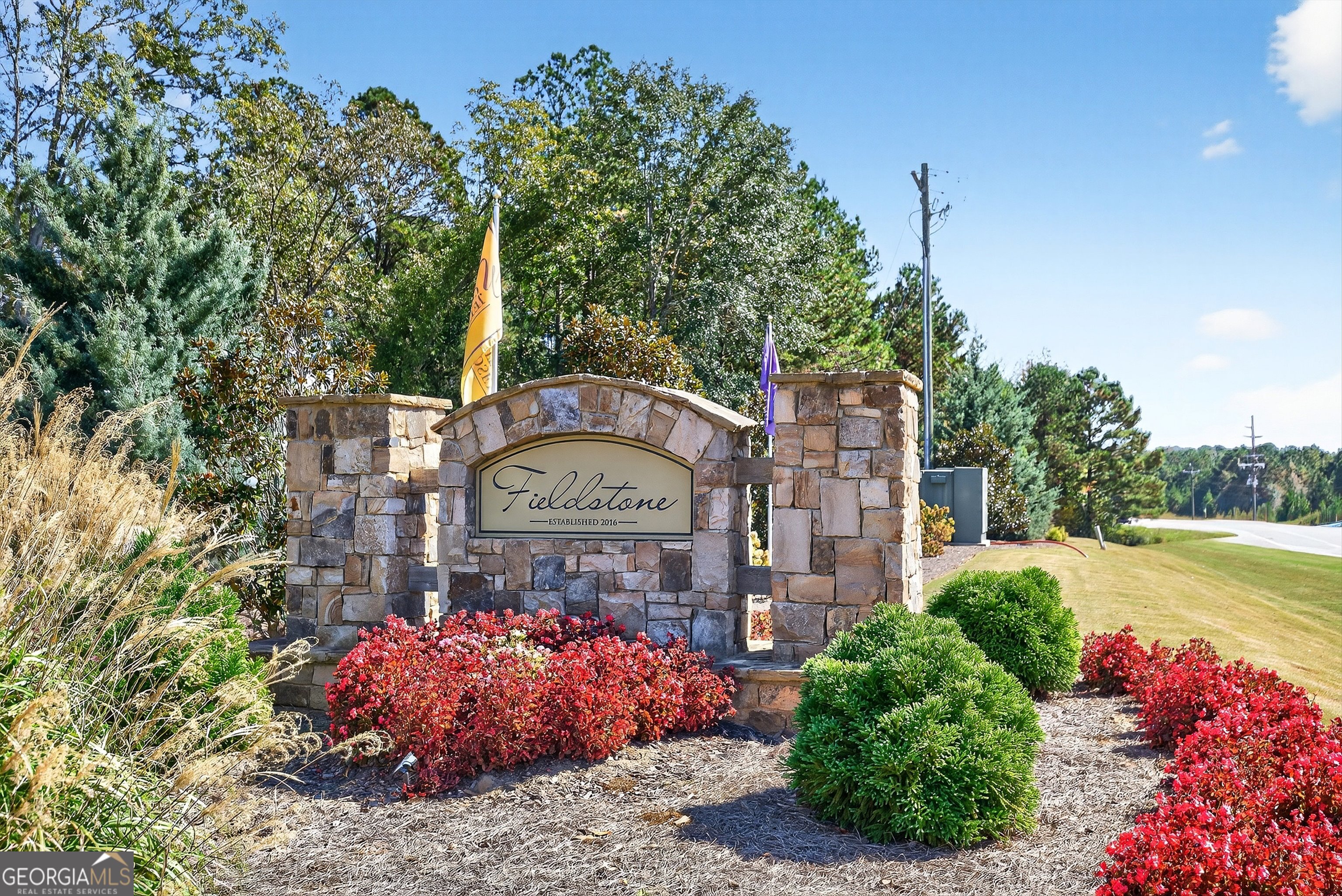 350 Cushing Street Senoia, GA 30276 - Photo 50 of 50