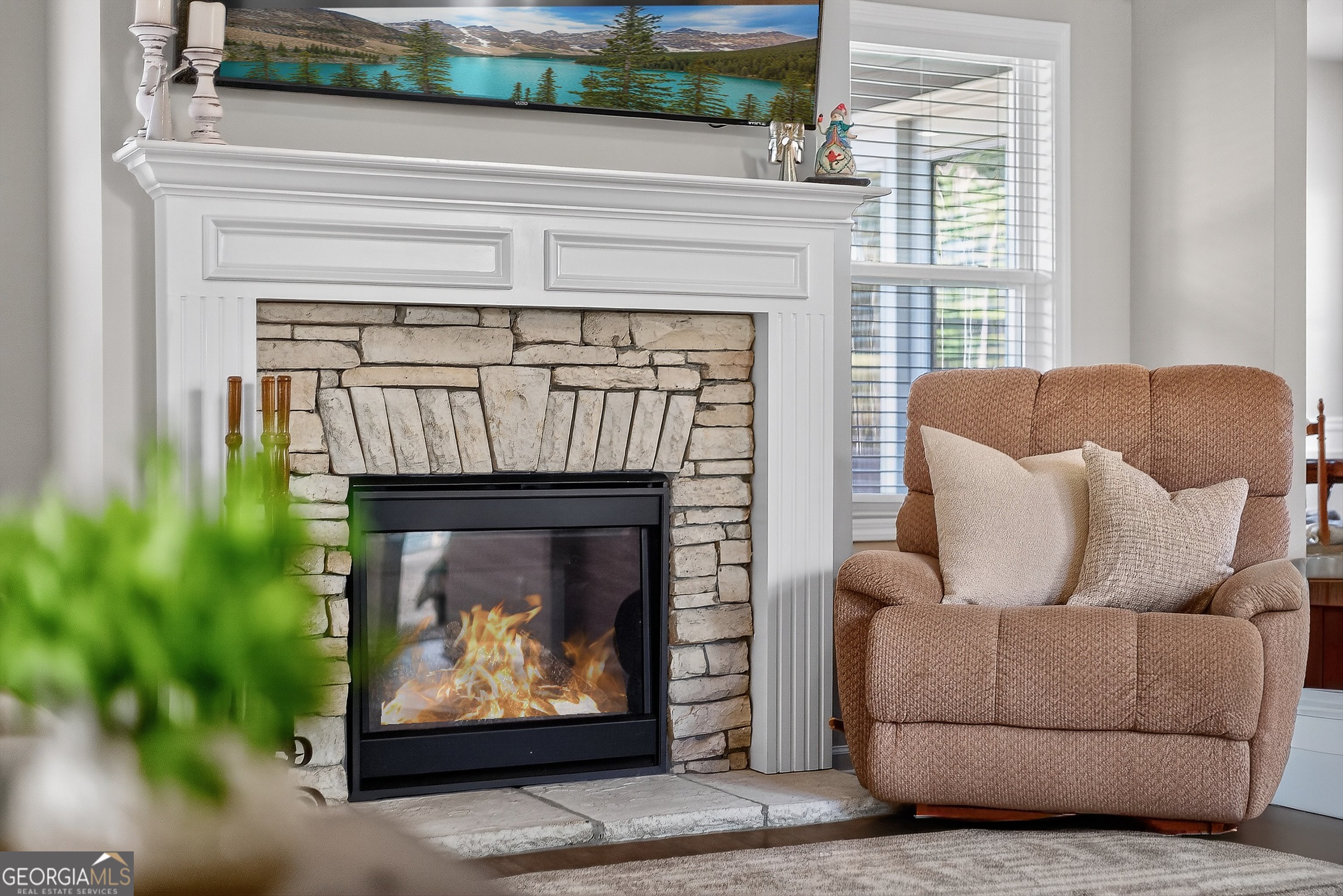 350 Cushing Street Senoia, GA 30276 - Photo 6 of 50