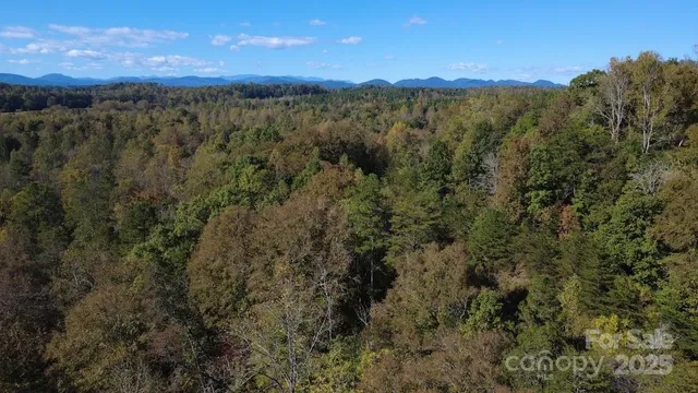 a view of a forest with mountains in the background