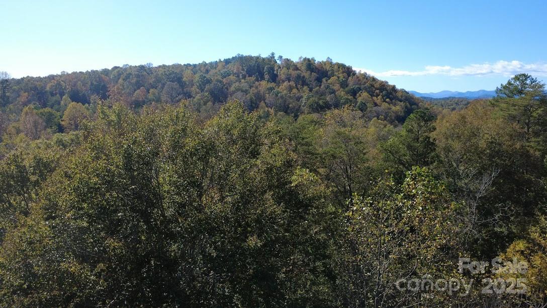 Tbd Cross Creek Drive, Unit 140 Rutherfordton, NC 28139 - Photo 15 of 17 a view of a forest with mountains in the background