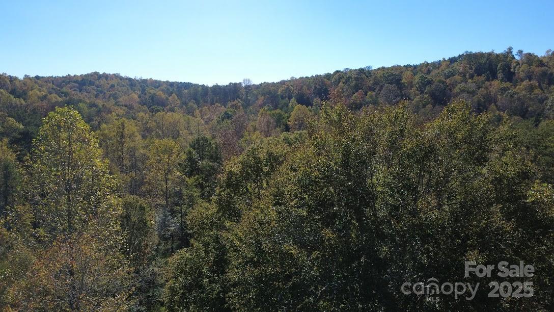 Tbd Cross Creek Drive, Unit 140 Rutherfordton, NC 28139 - Photo 16 of 17 a view of a house with mountain view