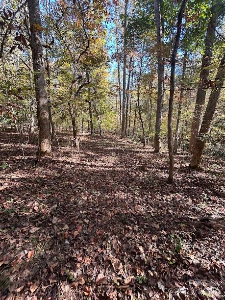 Tbd Cross Creek Drive, Unit 140 Rutherfordton, NC 28139 - Photo 3 of 17 a view of a yard with large trees
