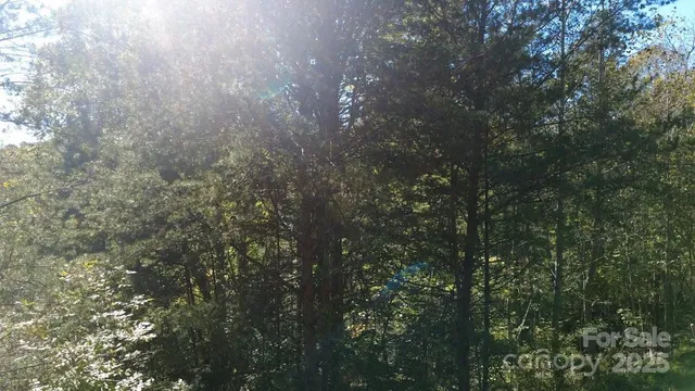 a view of a house with a lush green forest