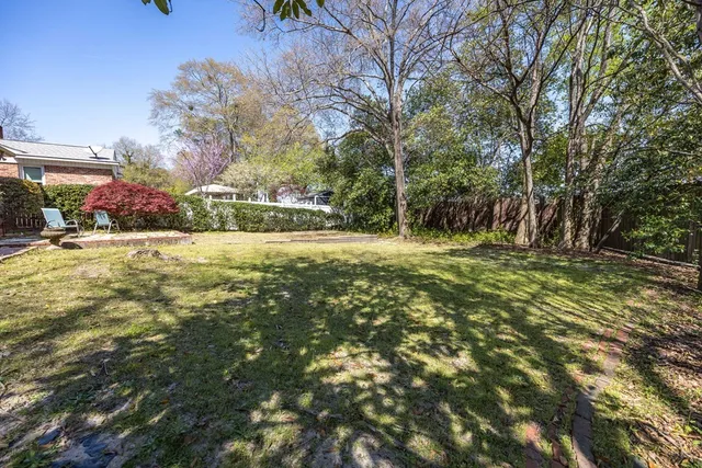 a view of large trees with yard