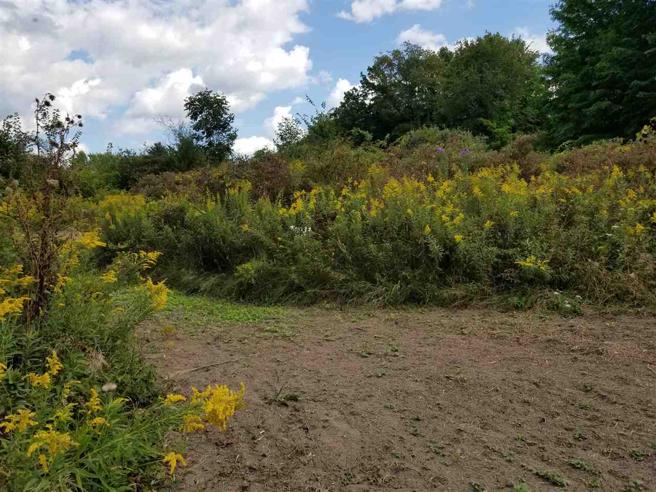 Parcel #1 Parcel Road Comstock Park, MI 49321 - Photo 19 of 24