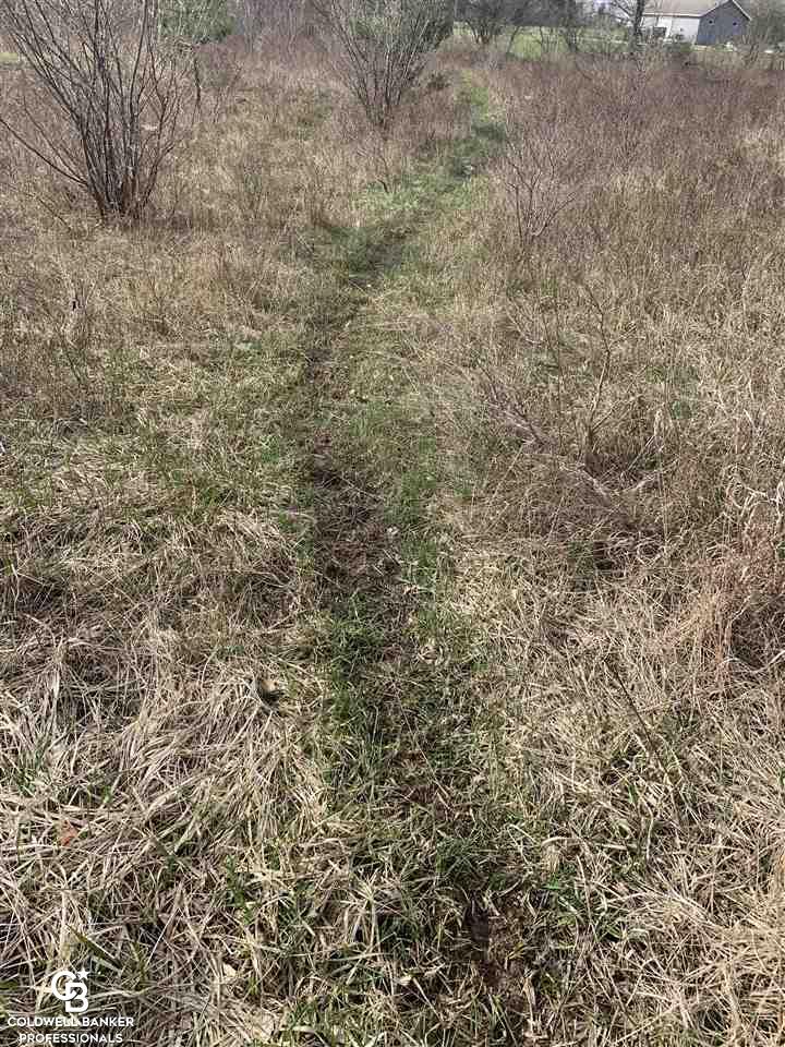 Jordan Road Yale, MI 48097 - Photo 9 of 21