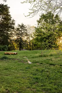 $889,000 | 95 Old 25 Loop, Hartsville, TN 37074
