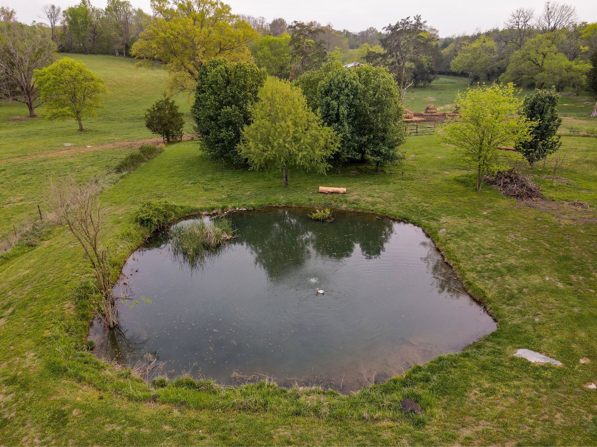95 Old 25 Loop Hartsville, TN 37074 - Photo 80 of 99