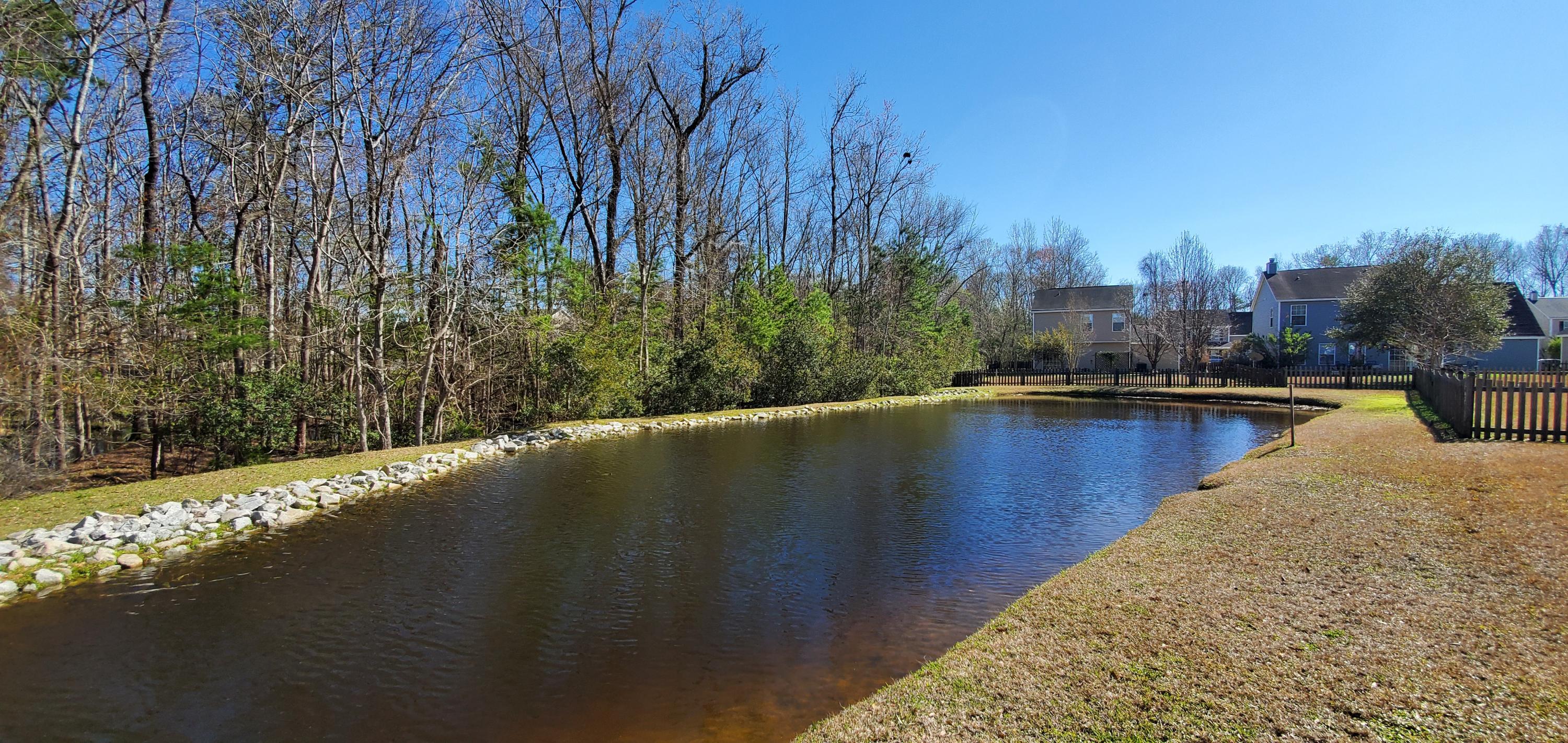 335 Eagle Ridge Road Summerville, SC 29485 - Photo 23 of 24 20200228_142644