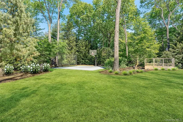 a view of a trees in a yard