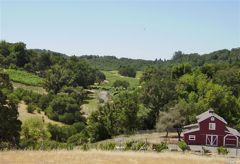 11420 Brooks Road Windsor, CA 95492 - Photo 1 of 1 View Driving Down From House. The Barn and Chalk Hill Vineyards in the Back Ground
