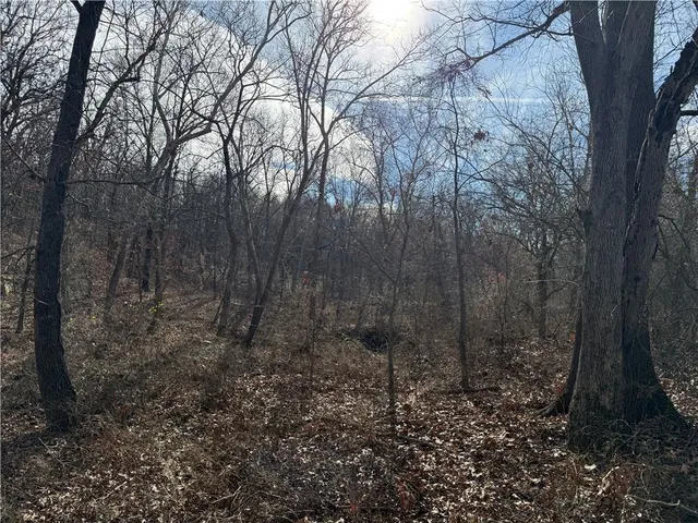 $255,300 | 4300 South S Road, Big Cabin, OK 74332