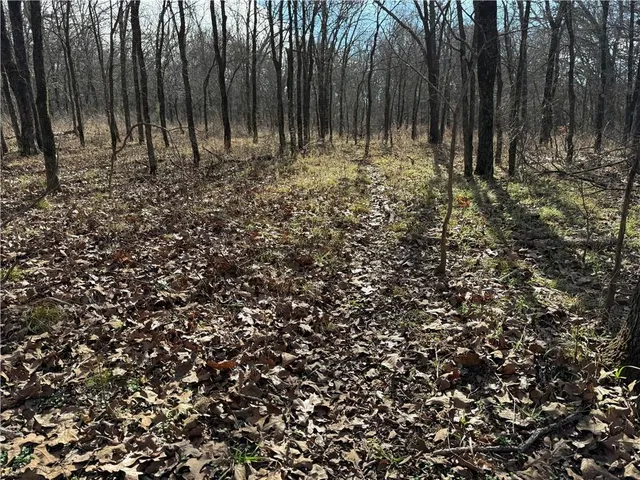 $255,300 | 4300 South S Road, Big Cabin, OK 74332