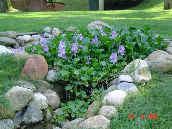 28 Fox Road Wakefield, MA 01880 - Photo 29 of 30 Gallery Image 29
