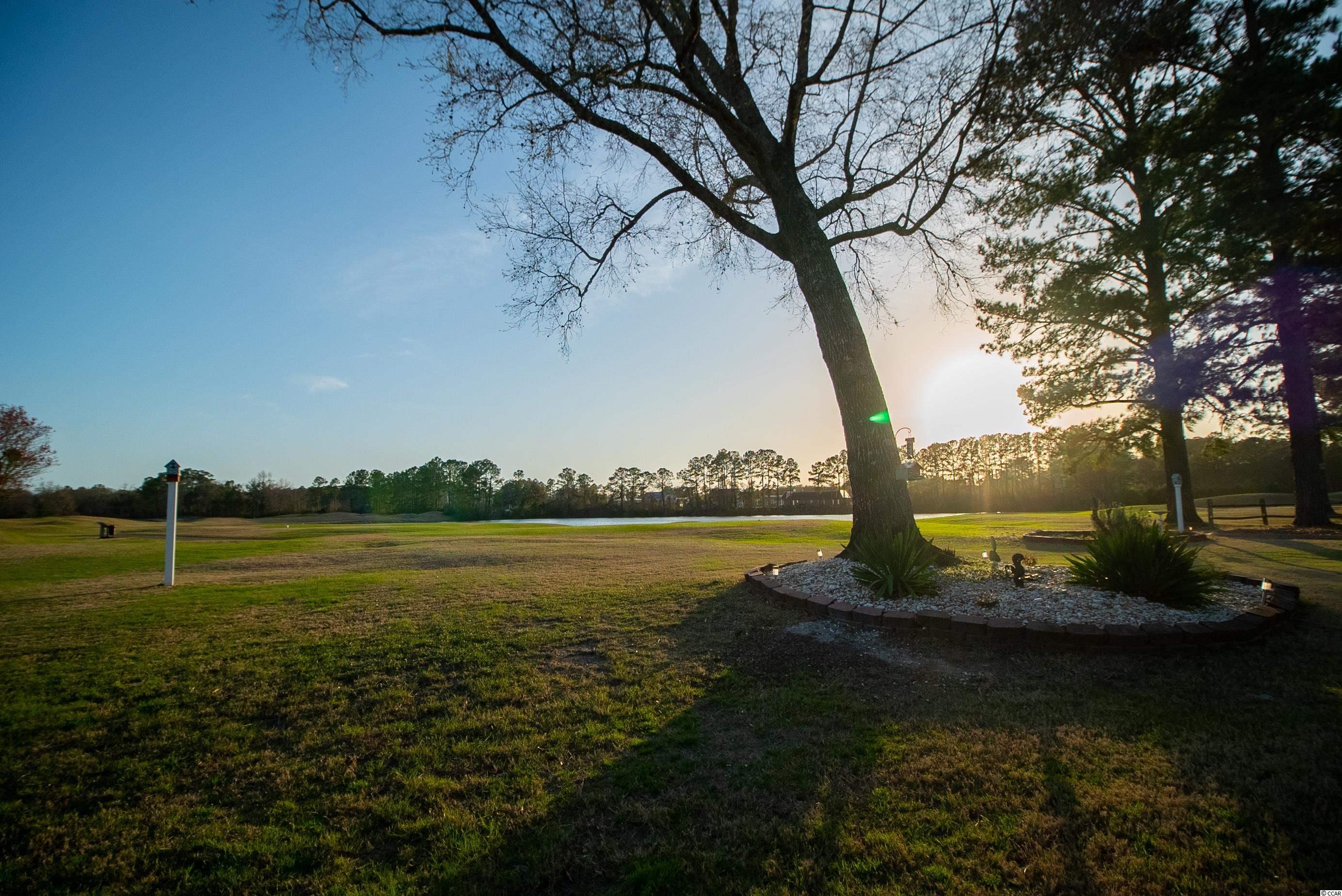 552 Canvas Back Court Longs, SC 29568 - Photo 6 of 40
