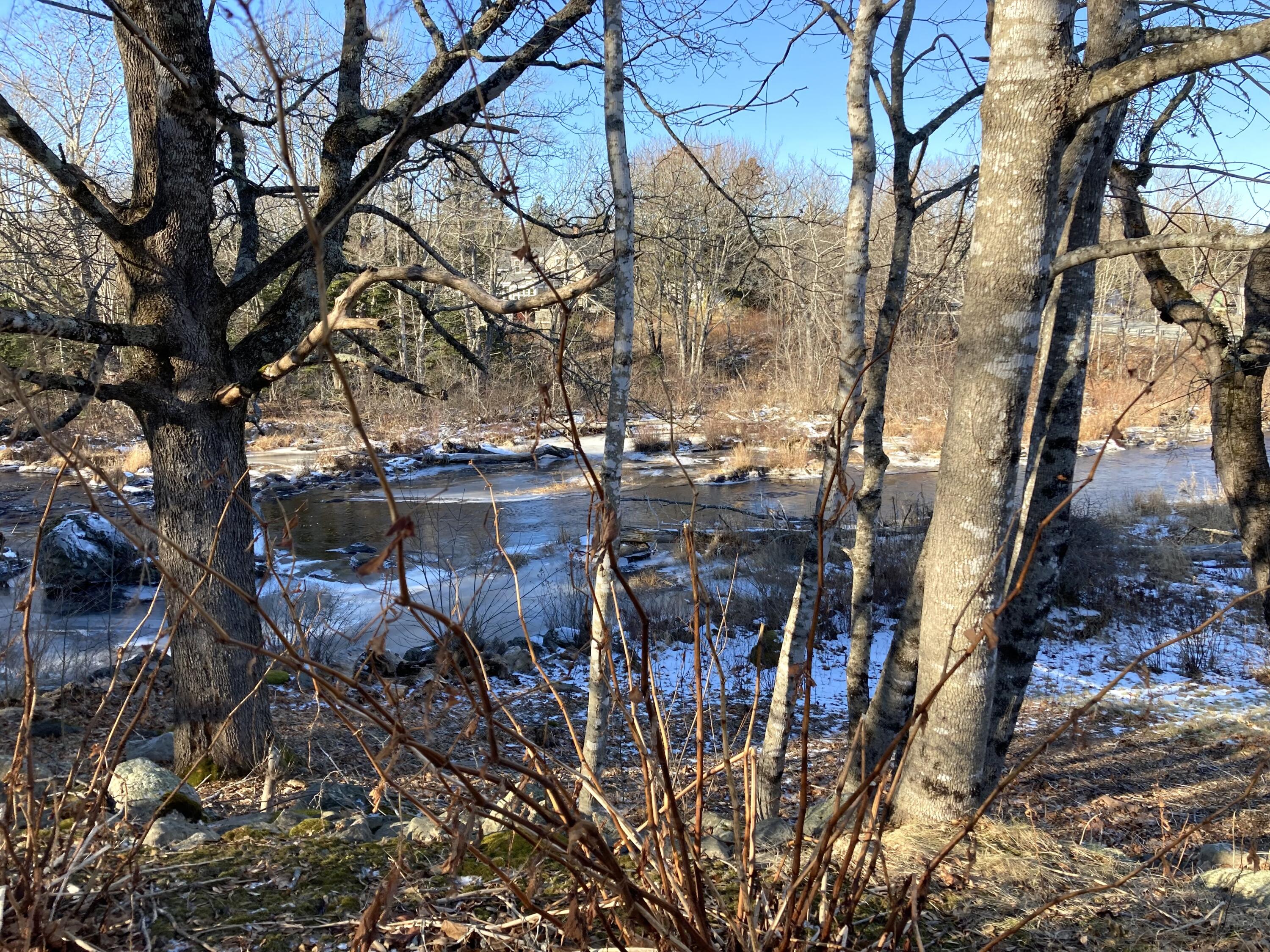 3 Rogers Point Road Steuben, ME 04680 - Photo 26 of 35