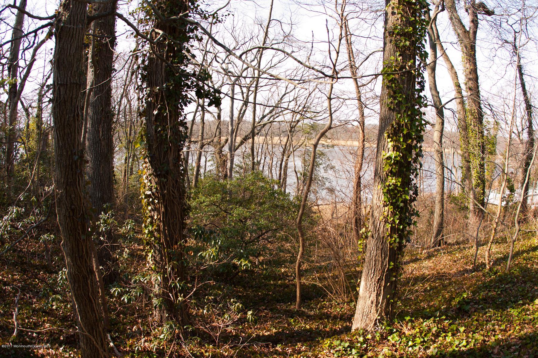 626 South Riverside Drive Neptune Township, NJ 07753 - Photo 23 of 32 a view of forest