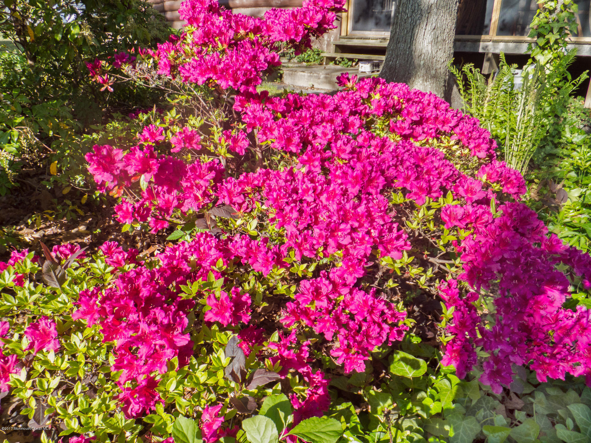 626 South Riverside Drive Neptune Township, NJ 07753 - Photo 30 of 32 a street view