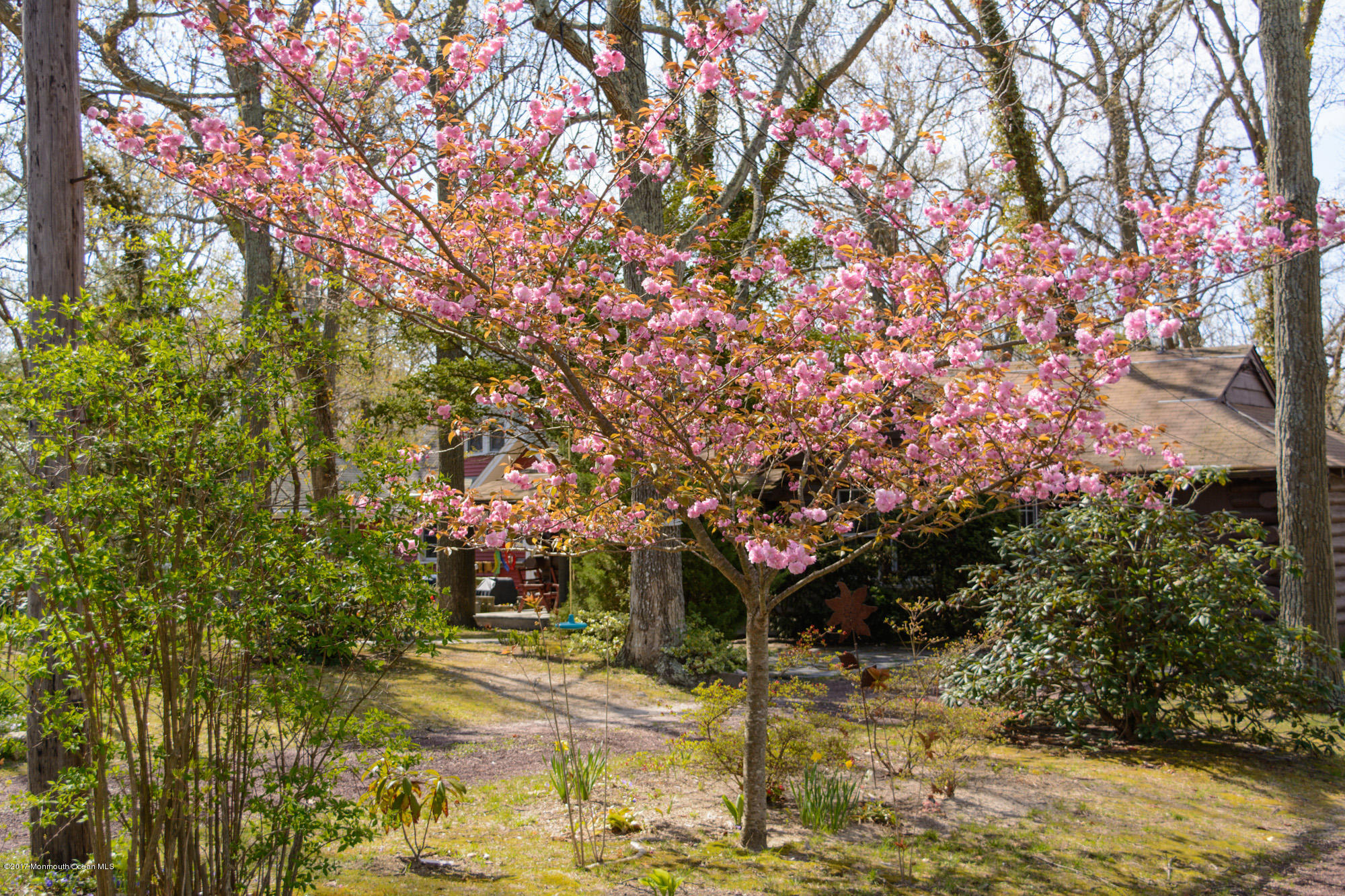 626 South Riverside Drive Neptune Township, NJ 07753 - Photo 31 of 32