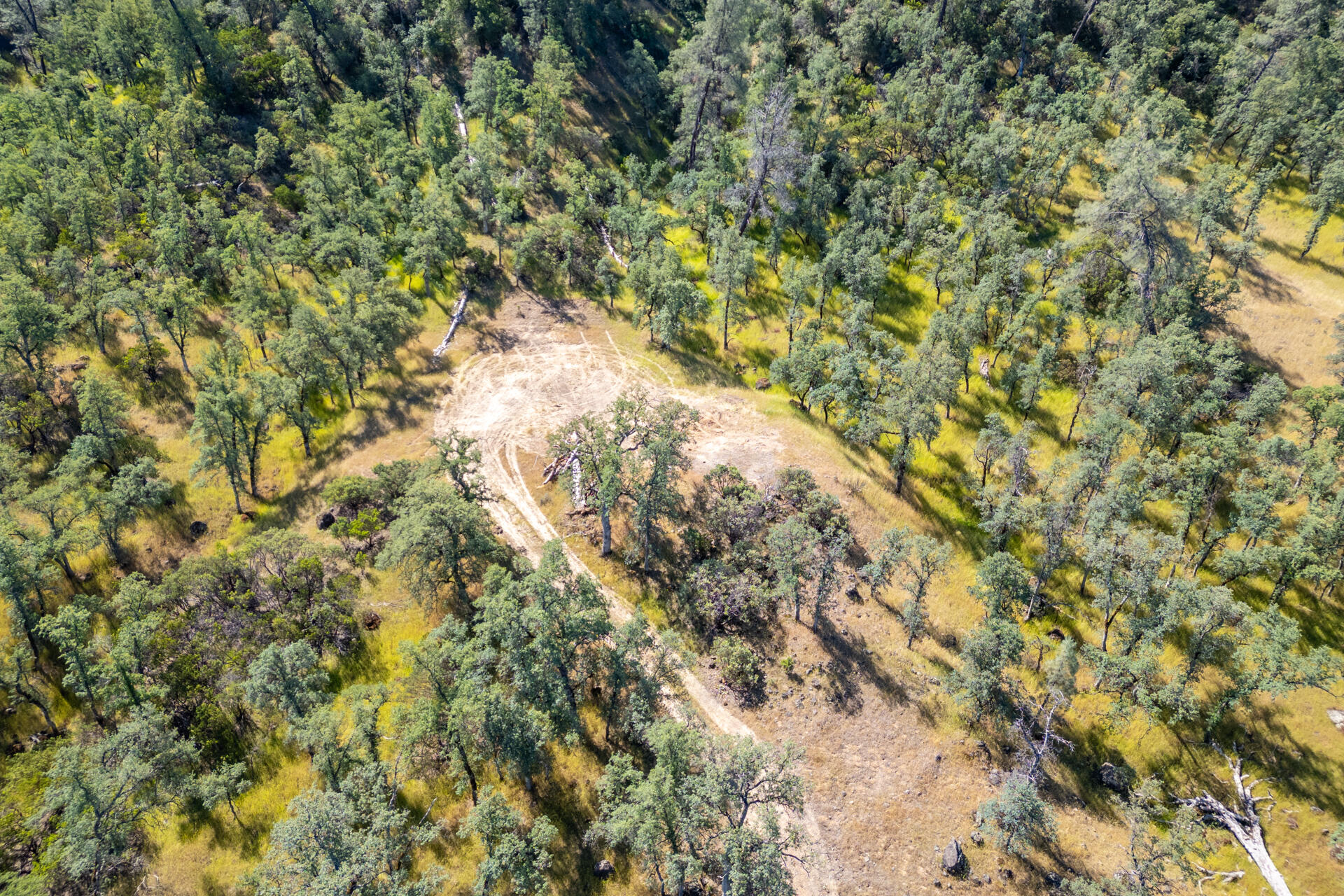 0 Racoon Way Oak Run, CA 96069 - Photo 21 of 39 DJI_0618-HDR