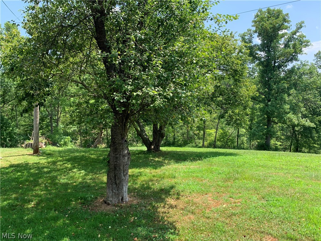 1284 Progress Ridge Road Walker, WV 26180 - Photo 28 of 29