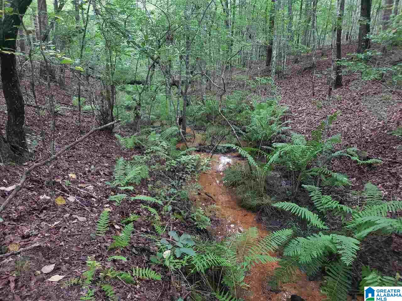 2229 County Road 82 Fruithurst, AL 36262 - Photo 5 of 12