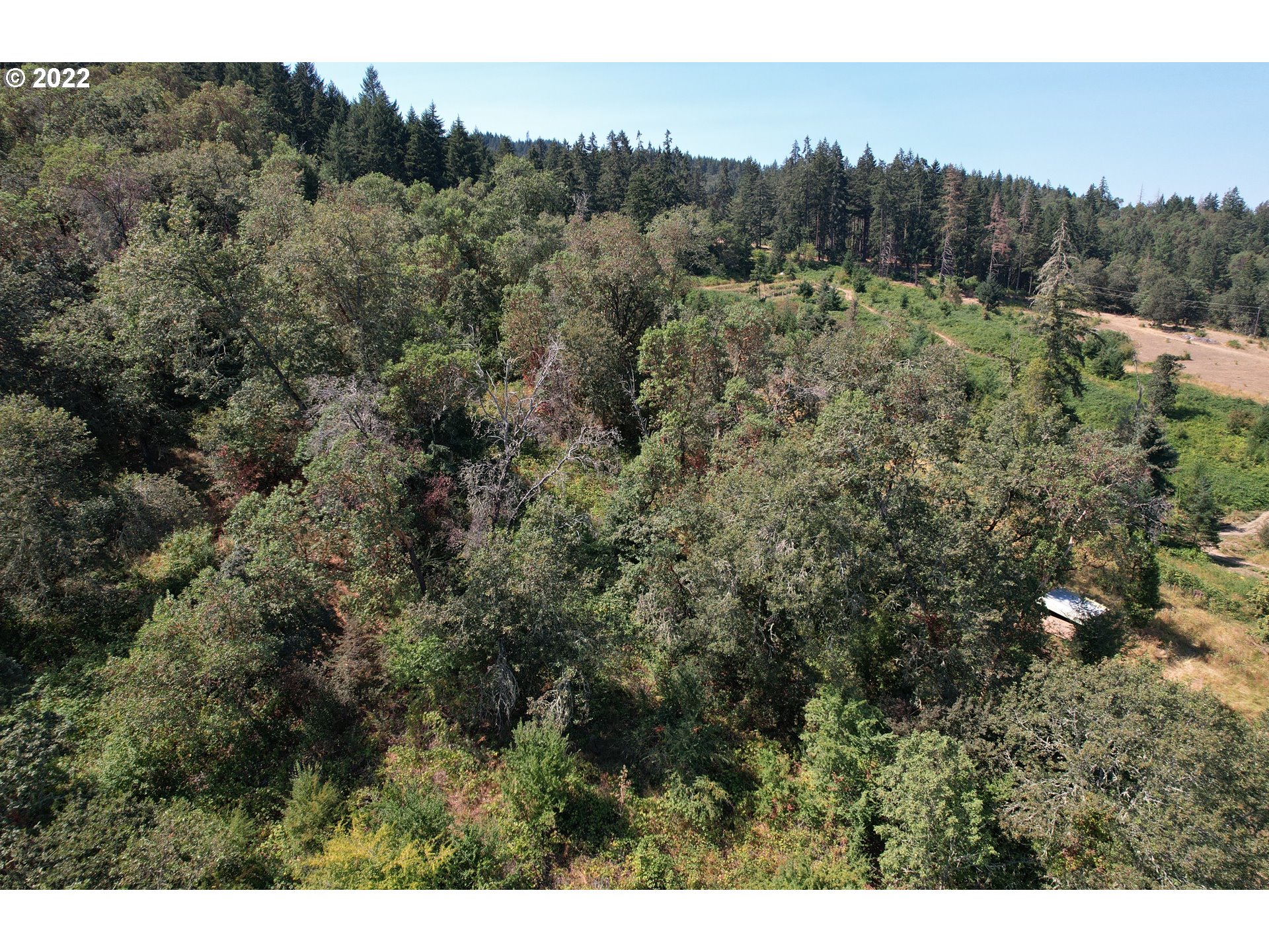 0 Rathbun Road Sutherlin, OR 97479 - Photo 7 of 13 Gallery Image 7