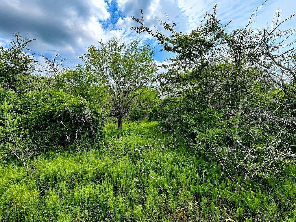 Tbd Water Oak Road Columbus, TX 78934 - Photo 10 of 14