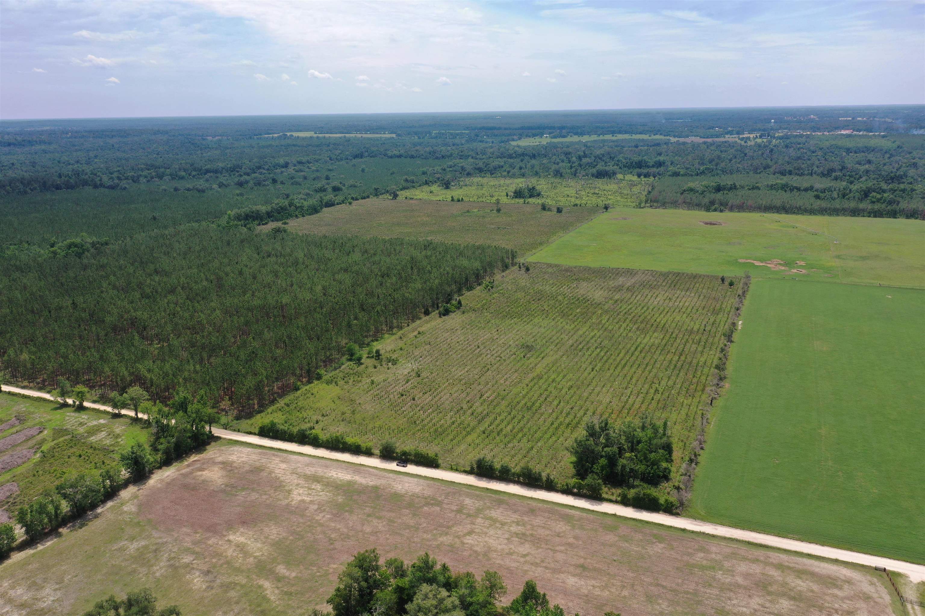 Southwest 86th Boulevard Jasper, FL 32052 - Photo 5 of 15