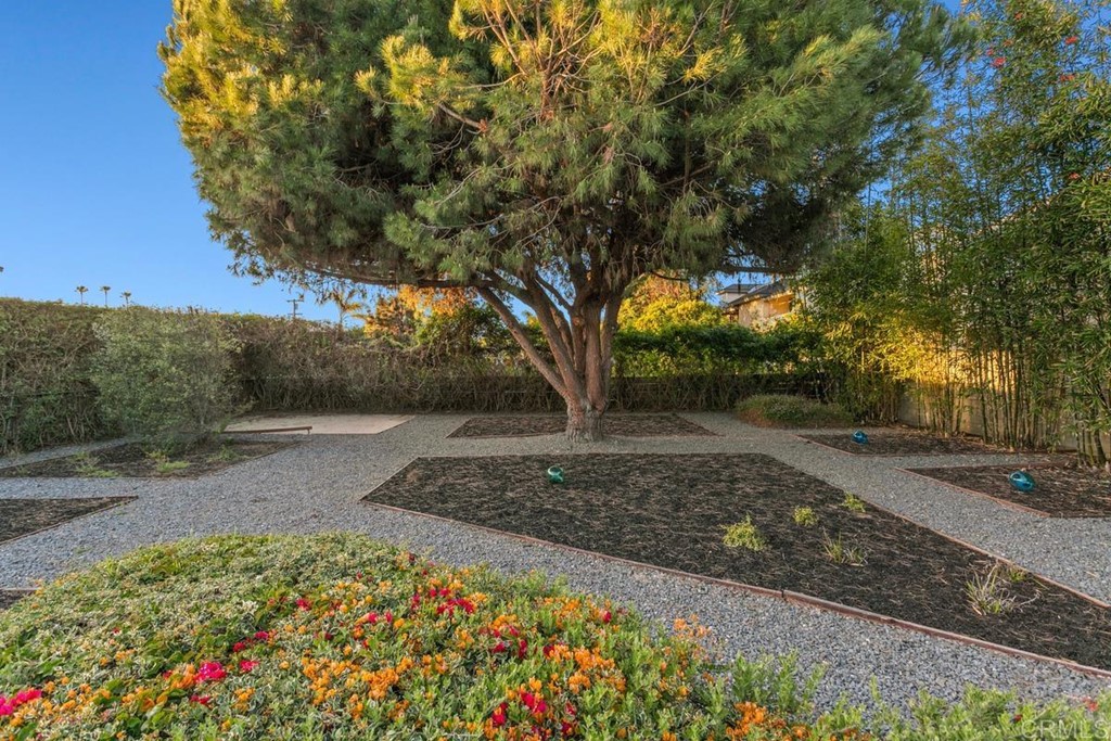 990 Laguna Drive Carlsbad, CA 92008 - Photo 15 of 21 a view of a garden with large trees