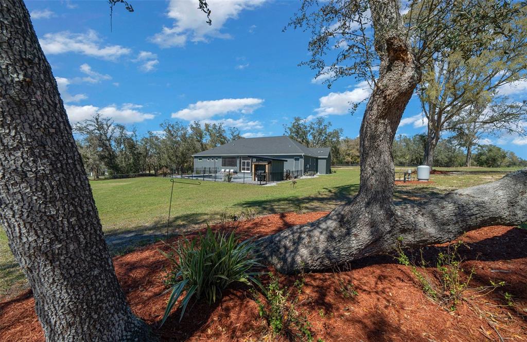 11707 Southeast 101st Court Road Belleview, FL 34420 - Photo 65 of 84 a view of a house with backyard