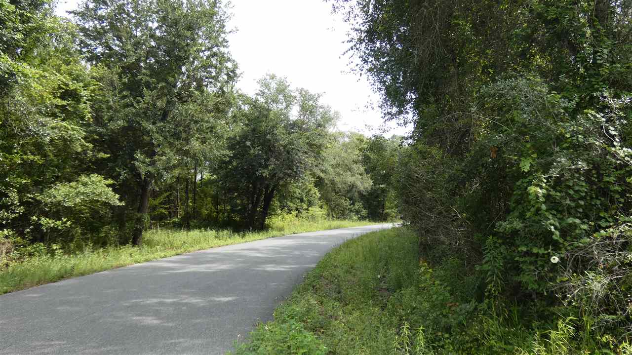 1073 Blue Lake Road Monticello, FL 32344 - Photo 1 of 5 Gallery Image 1