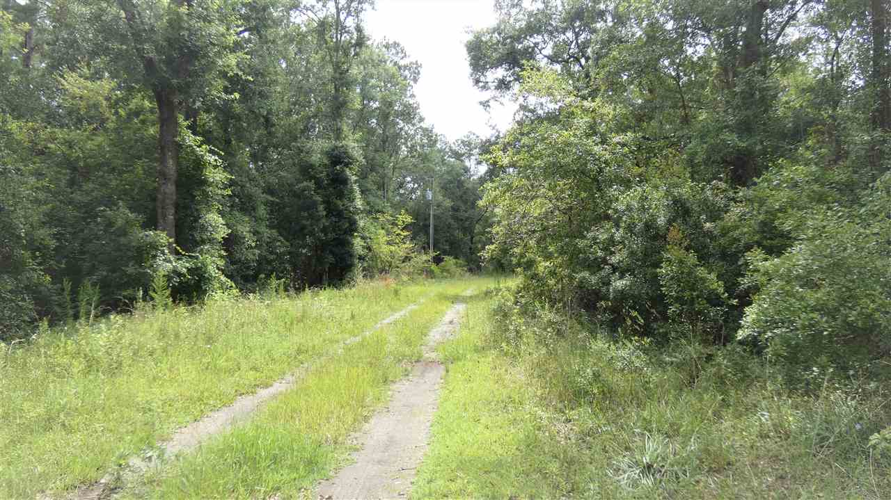 1073 Blue Lake Road Monticello, FL 32344 - Photo 2 of 5 Gallery Image 2