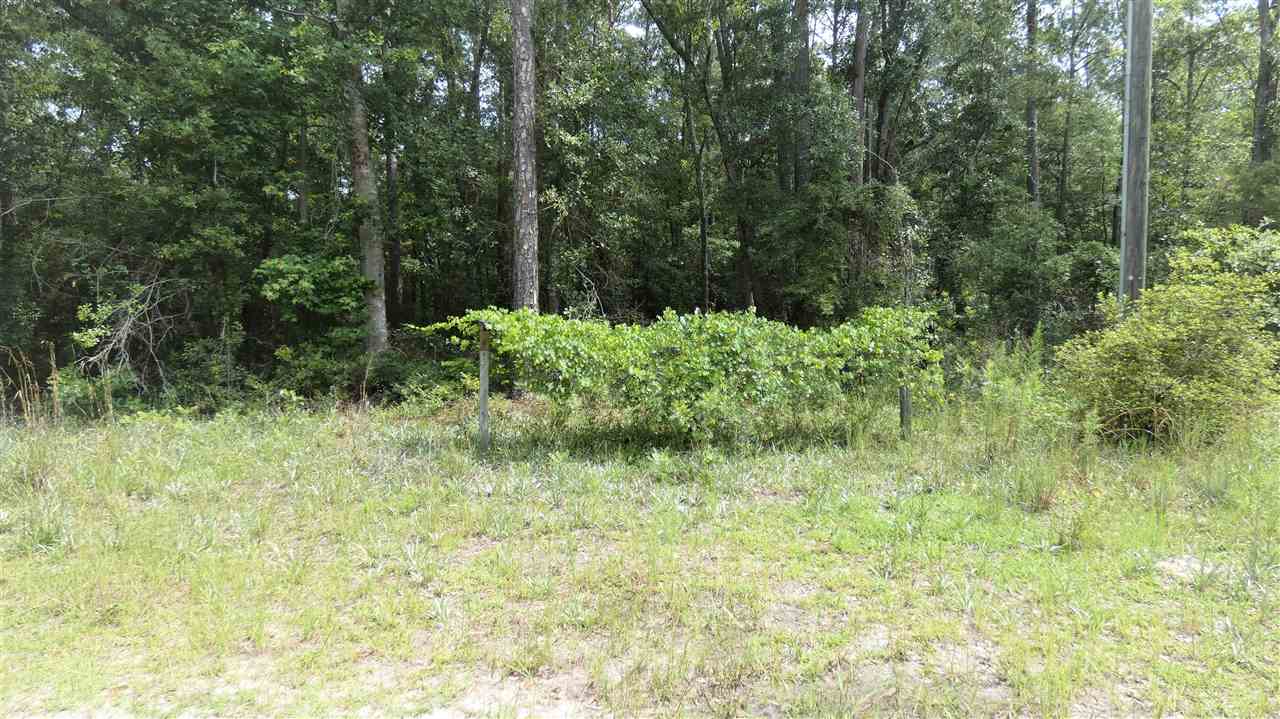 1073 Blue Lake Road Monticello, FL 32344 - Photo 3 of 5 Gallery Image 3