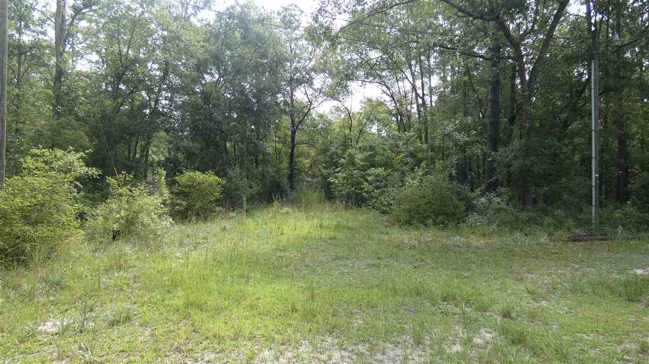 1073 Blue Lake Road Monticello, FL 32344 - Photo 4 of 5 Gallery Image 4
