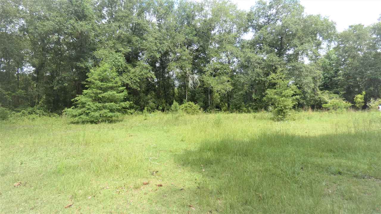 1073 Blue Lake Road Monticello, FL 32344 - Photo 5 of 5 Gallery Image 5