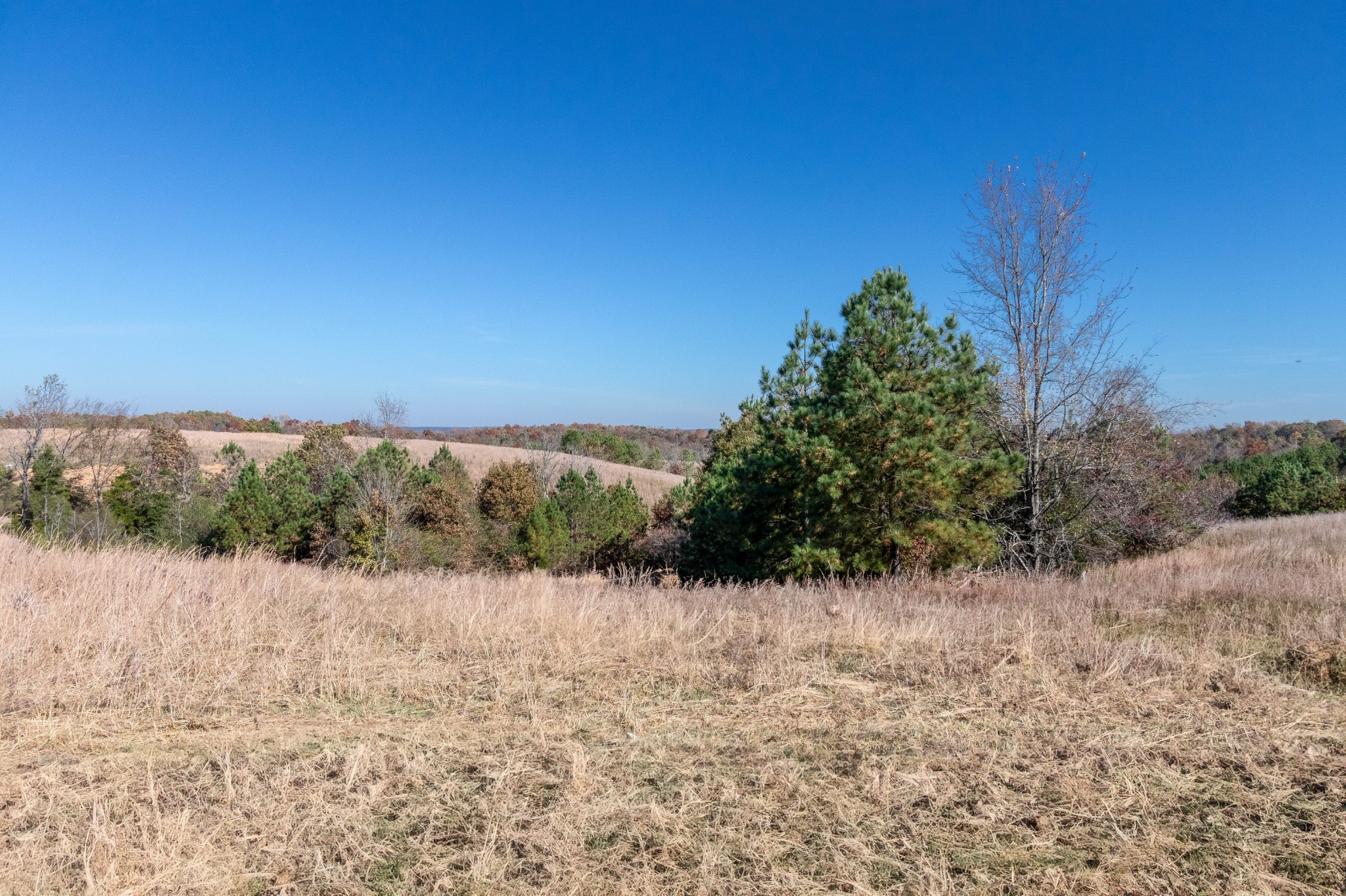 308 Wilson Hollow Road Dickson, TN 37055 - Photo 3 of 28 Gallery Image 3