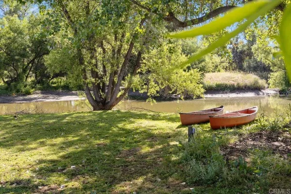 a garden view with a bench