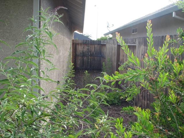7550 Pit Road Redding, CA 96001 - Photo 18 of 20 a view of a garden with plants
