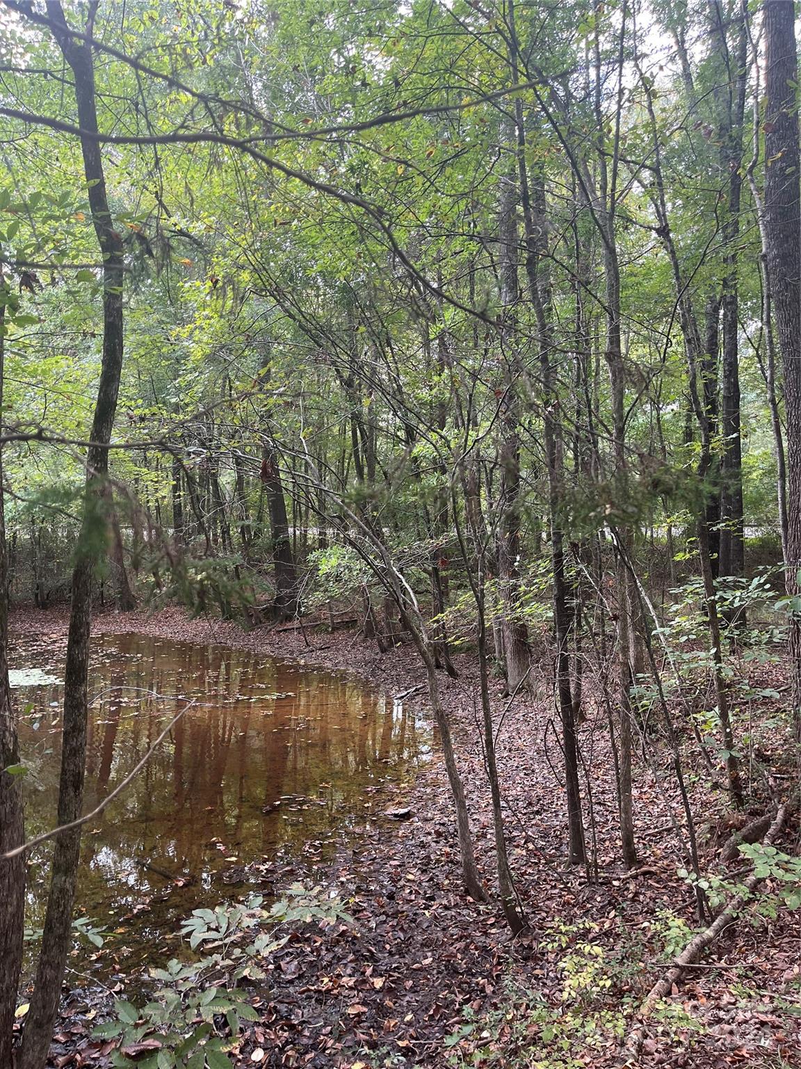 0 South Us Highway Norwood, NC 28128 - Photo 12 of 15
