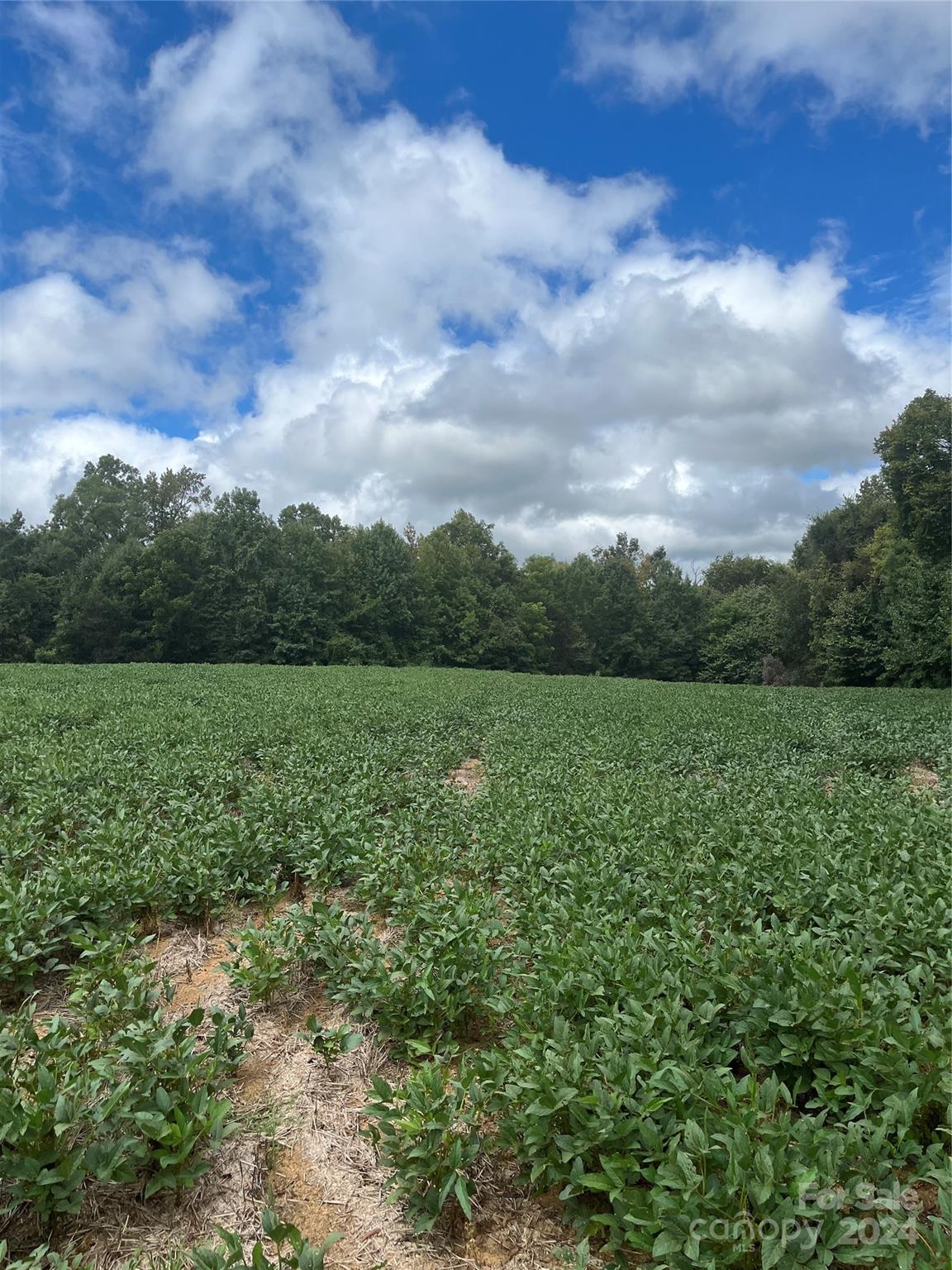 0 South Us Highway Norwood, NC 28128 - Photo 4 of 15